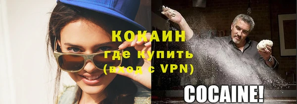 apvp Каменногорск