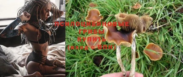 apvp Каменногорск