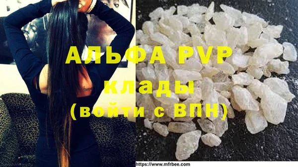 apvp Каменногорск