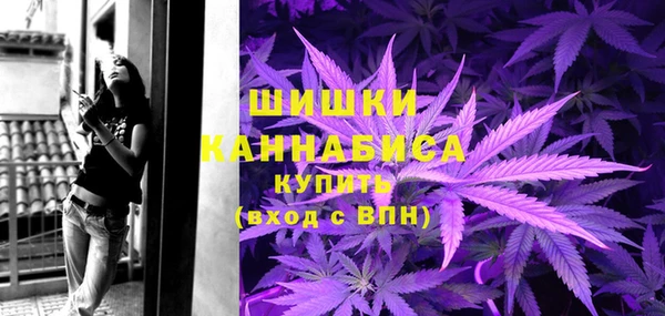 apvp Каменногорск