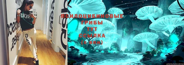 apvp Каменногорск