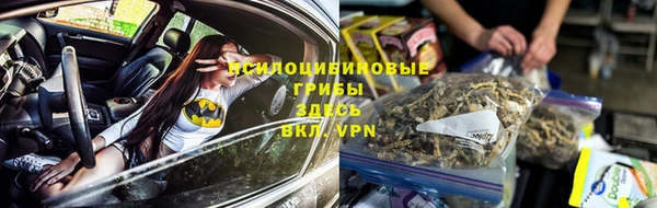 apvp Каменногорск