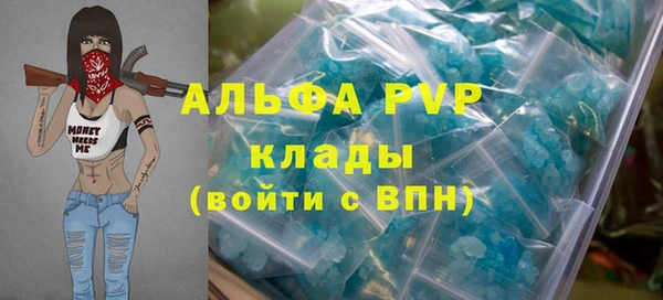 apvp Каменногорск