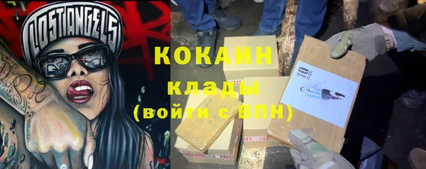 apvp Каменногорск